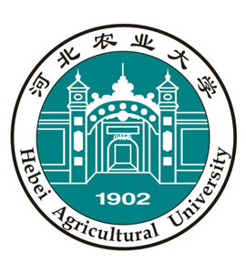 东营河北农业大学